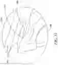 Fig. 25 - Oscillating positive expiratory pressure device