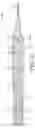 Fig. 03 - BALLOON CATHETER WITH ADJUSTABLE SHEATH