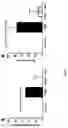 Fig. 16 - Peripheral nerve electrode array