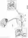 Fig. 06 - System and Method For Electrical Stimulation of Anorectal Structures To Treat Urinary Dysfunction