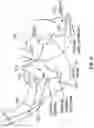 Fig. 10 - System and Method For Electrical Stimulation of Anorectal Structures To Treat Urinary Dysfunction