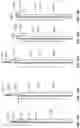 Fig. 19 - System and Method For Electrical Stimulation of Anorectal Structures To Treat Urinary Dysfunction
