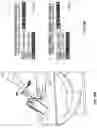 Fig. 27 - SYSTEMS AND METHODS FOR TREATING PATIENTS WITH DISEASES ASSOCIATED WITH REPLICATING PATHOGENS