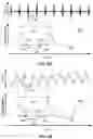 Fig. 07 - Motion management system and method for image-guided radiotherapy