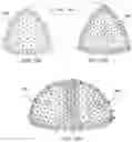 Fig. 16 - Dimple patterns for golf balls