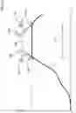 Fig. 13 - Swing quality measurement system