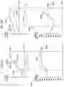 Fig. 35 - Swing quality measurement system