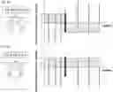 Fig. 06 - Method and device for asymmetric polarity inversion in electromembrane processes
