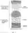 Fig. 02 - Metal single-atom catalyst and method for preparing the same