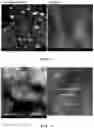 Fig. 04 - Metal single-atom catalyst and method for preparing the same