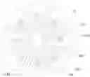 Fig. 01 - Immunodetection Method