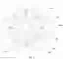 Fig. 02 - Immunodetection Method