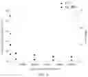 Fig. 12 - Immunodetection Method