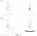 Fig. 13 - Immunodetection Method