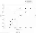 Fig. 15 - Immunodetection Method