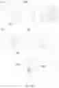 Fig. 24 - Immunodetection Method