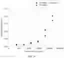 Fig. 25 - Immunodetection Method