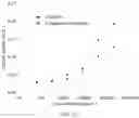 Fig. 28 - Immunodetection Method