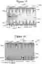 Fig. 17 - Microfluidic devices having isolation pens and methods of testing biological micro-objects with same