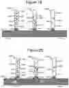Fig. 18 - Microfluidic devices having isolation pens and methods of testing biological micro-objects with same
