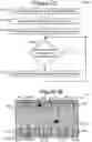 Fig. 21 - Microfluidic devices having isolation pens and methods of testing biological micro-objects with same