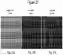 Fig. 24 - Microfluidic devices having isolation pens and methods of testing biological micro-objects with same