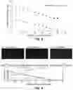 Fig. 10 - Microfluidic device for size and deformability measurements and applications thereof