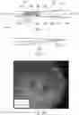 Fig. 02 - Dielectrophoretic tweezer