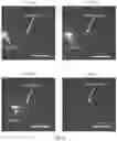 Fig. 08 - Dielectrophoretic tweezer