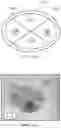 Fig. 13 - Dielectrophoretic tweezer