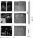 Fig. 22 - Dielectrophoretic tweezer