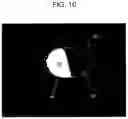 Fig. 11 - Purifying apparatus and purifying method