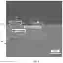 Fig. 06 - METAL ARTICLE EMBEDDED WITH TAGGANT AND METHODS OF MAKING