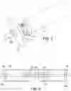 Fig. 06 - High-pressure water debridement system