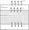 Fig. 01 - HOT STAMPED BODY