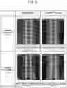 Fig. 07 - Thread forming tap