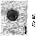 Fig. 09 - Inert gas-assisted laser machining of ceramic-containing articles