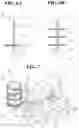 Fig. 05 - Machine tool