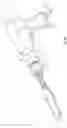 Fig. 02 - Multi-Stroke Powered Safety Hammer System