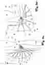 Fig. 07 - Pneumatic exomuscle system and method
