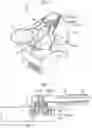 Fig. 02 - Transfer apparatus