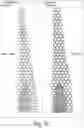 Fig. 07 - System and method for additive manufacturing with toolpath bridges and resultant structure