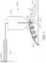 Fig. 07 - POLYMERIC FOAM LAYER AND METHODS OF MAKING THE SAME