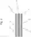 Fig. 04 - SAFETY GLASS STACK