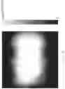 Fig. 08 - Optical security element