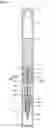 Fig. 02 - Applicator with gas-liquid exchanging section and occluding body