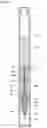 Fig. 07 - Applicator with gas-liquid exchanging section and occluding body