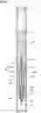 Fig. 09 - Applicator with gas-liquid exchanging section and occluding body