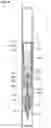 Fig. 10 - Applicator with gas-liquid exchanging section and occluding body
