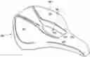 Fig. 01 - Bicycle saddle with multi-density zones
